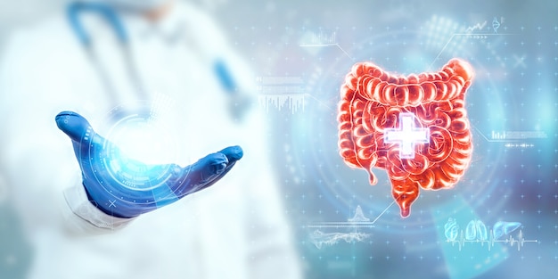 Il medico guarda l'ologramma dell'intestino, controlla il risultato del test sull'interfaccia virtuale e analizza i dati. ulcera, chirurgia, tecnologie innovative, medicina del futuro.