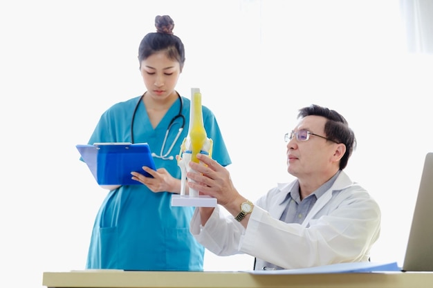 Doctor and nurse analyzing model object in hospital