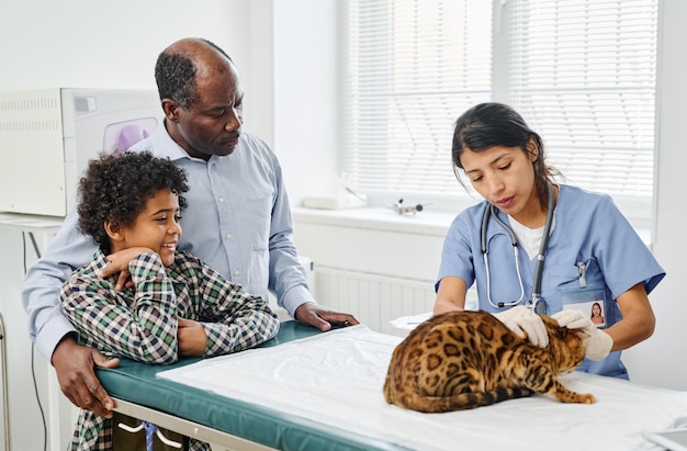 Doctor palpating cat in front of owners