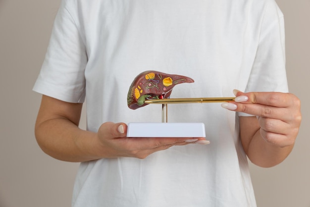 Photo doctor pointing a liver mockup