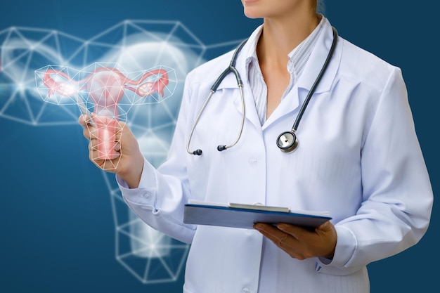 The doctor shows the uterus of a women on blue background