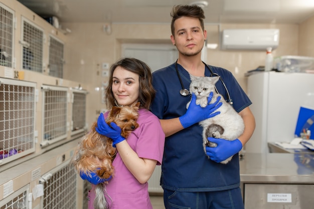 I veterinari del medico in uniforme stanno tenendo il gatto e il cane su priorità bassa della clinica veterinaria dell'ospedale