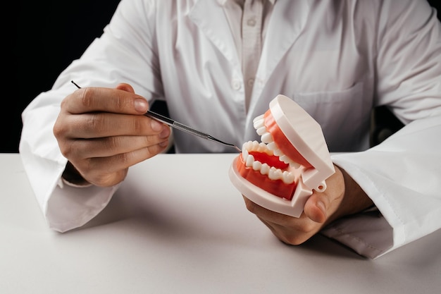 The doctor with dental tool and jaw in his office