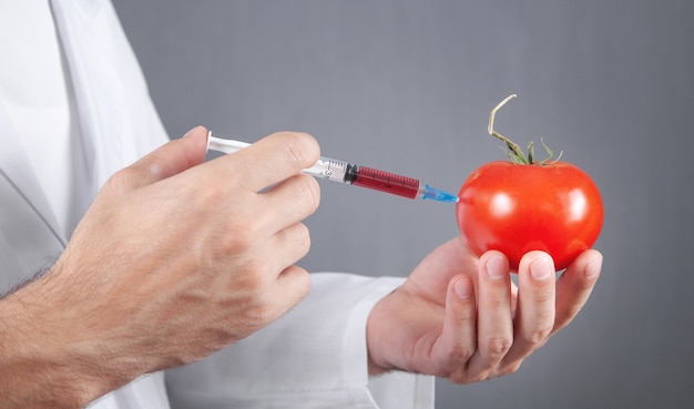 Doctor with syringe and tomato. Genetic modification