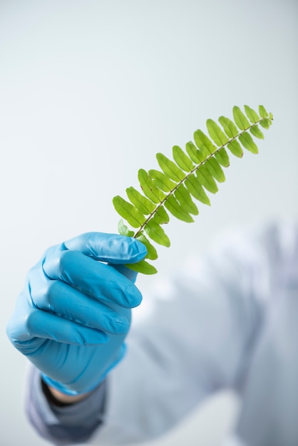 Foto scienziato della donna di medico che fa medicina di erbe in laboratorio con l'erba lascia la ricerca di trattamento alternativa minerale degli integratori di vitamine