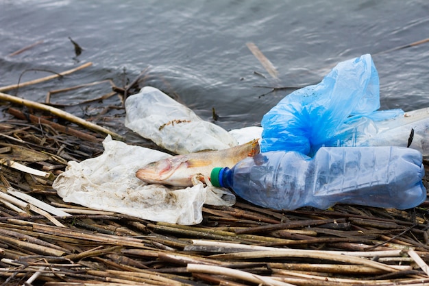 Dode vissen met plastic afval op de oceaan. concept voor de bescherming van zeeleven en oceanen.