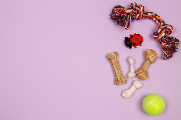 Dog accessories, food and toy on purple background. Flat lay. Top view.