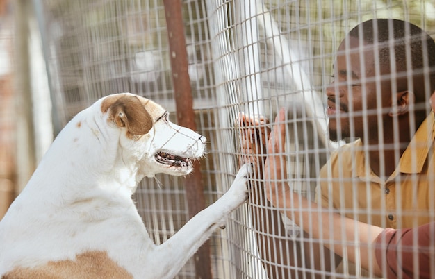 Dog adoption and animal shelter with a black man volunteer working at a rescue center for foster care Pet charity and community with a male and puppy at a kennel for adopting canine pets