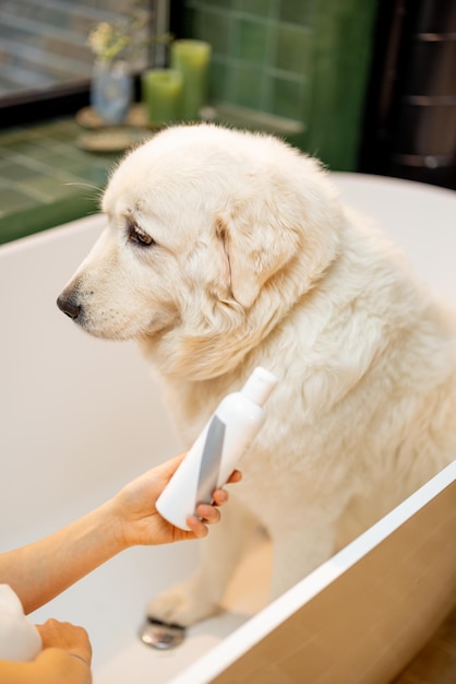 バスタブの犬