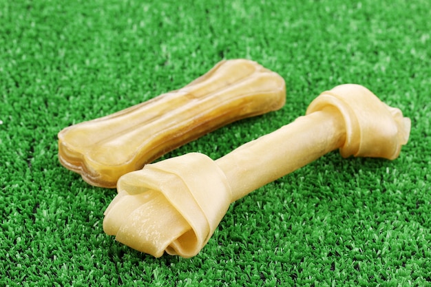 Dog bones on green grass