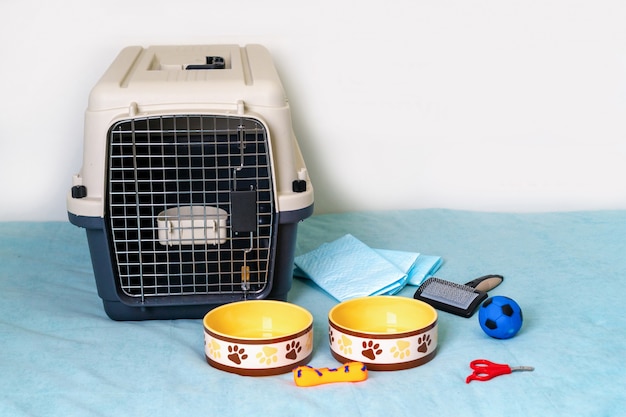 Dog care items on the blue couch.