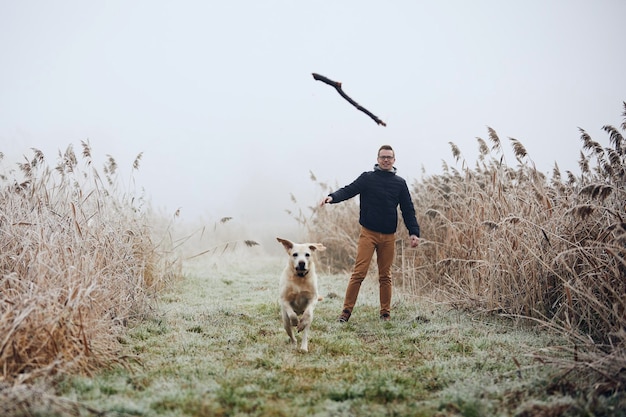 Фото Собака преследует палку, брошенную человеком на поле.