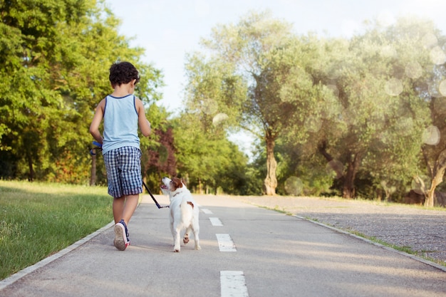 公園のサンセットで犬と子供の後方を歩く。