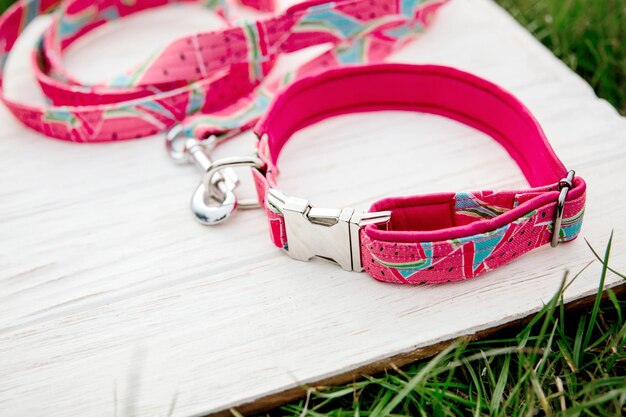 Dog Collar and Leash set Pet Supplies and Walking Gear Collection