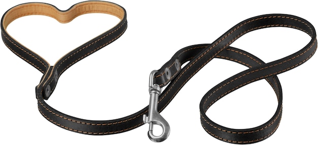 Dog Collar with Leash Isolated