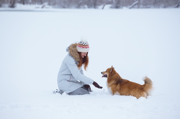 Dog corgi fluffy and his owner playing on a winter walk at the outdoor