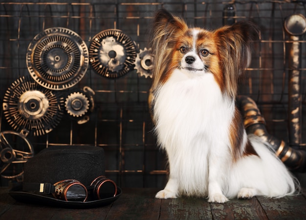 Dog on decoration steampunk