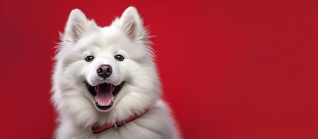 犬の日記子犬愛好家のための魅力的な写真