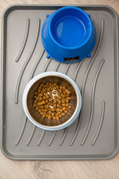 Dog dry food and water bowls indoors