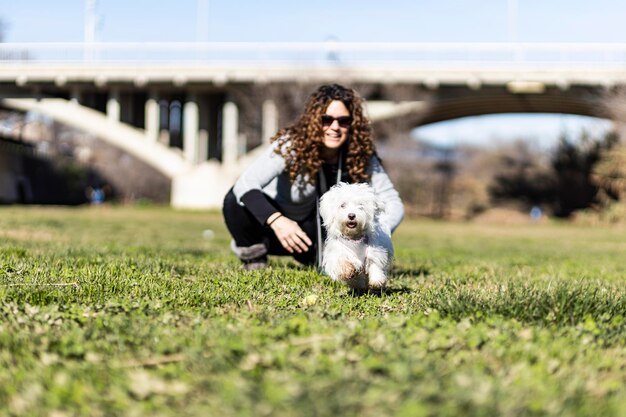 Photo dog on field