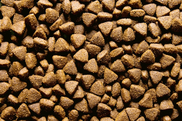  dog food close-up