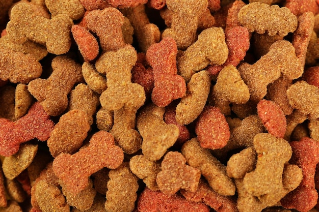 Dog food closeup