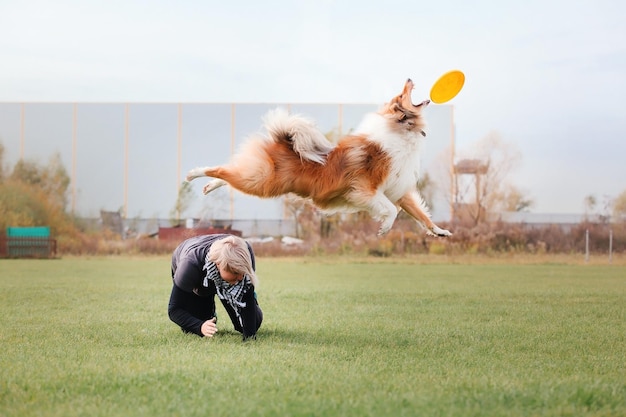 Dog frisbee Dog catching flying disk in jump pet playing outdoors in a park Sporting event achie