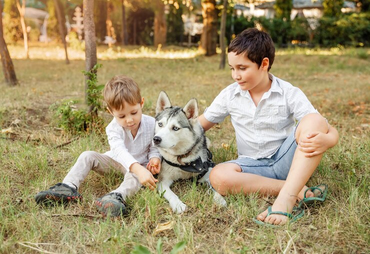 Dog and funny kids enjoying together. Cute children with dog walking