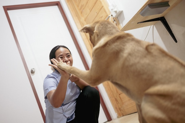 犬は家の中でアジア人の飼い主と楽しく遊んでいます。