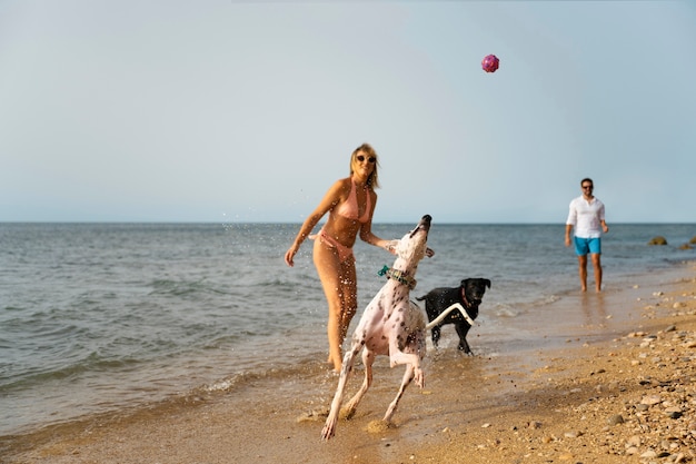 Foto cane che si diverte in spiaggia