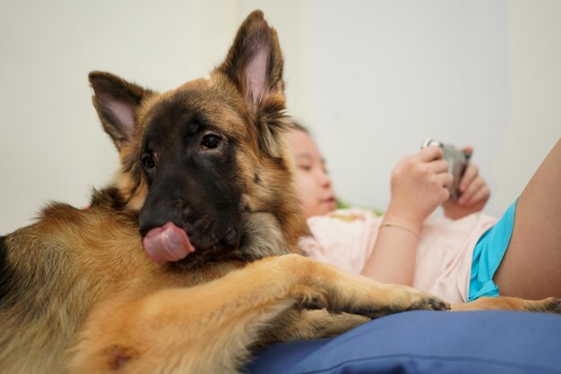 飼い主と一緒に犬の頭を注意深く座って笑顔で