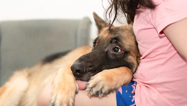 飼い主と一緒に犬の頭を注意深く座って笑顔で