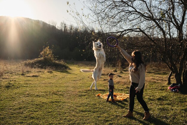 犬がおもちゃの後ろに飛び上がって変な顔をするライフスタイルのコンセプト親友と過ごす時間