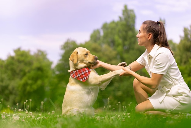 Dog labrabod gives a paw to a girl dog training concept