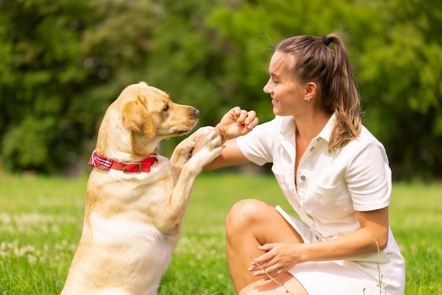 Dog labrabod gives a paw to a girl dog training concept