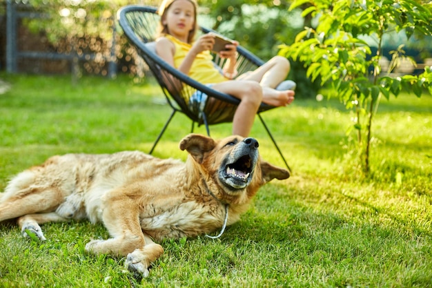 Dog laying on the grass cute kid girl playing game on mobile phone