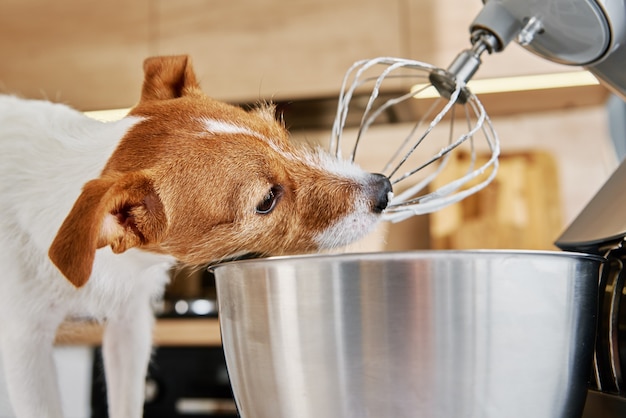 Dog lick electric kitchen mixer whisk