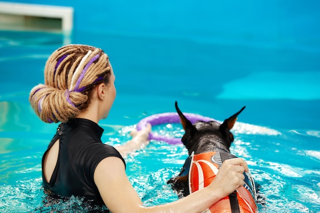 Dog in life jacket swim in the swimming pool with coach pet\
rehabilitation recovery training prevention for hydrotherapy pet\
health care