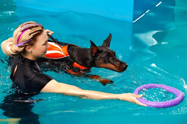 Photo dog in life jacket swim in the swimming pool with coach pet rehabilitation recovery training