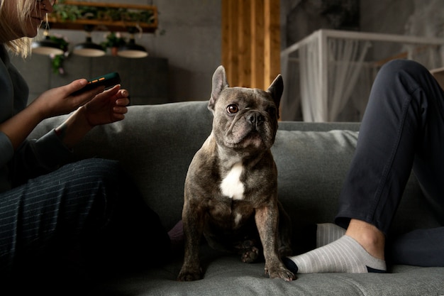 Foto stile di vita del cane e cura con il proprietario