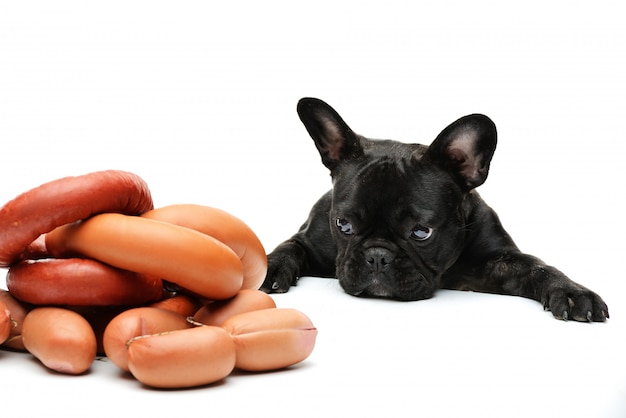 The dog looks at a bunch of sausages. french bulldog and sausages. Funny portrait of a black bulldog.