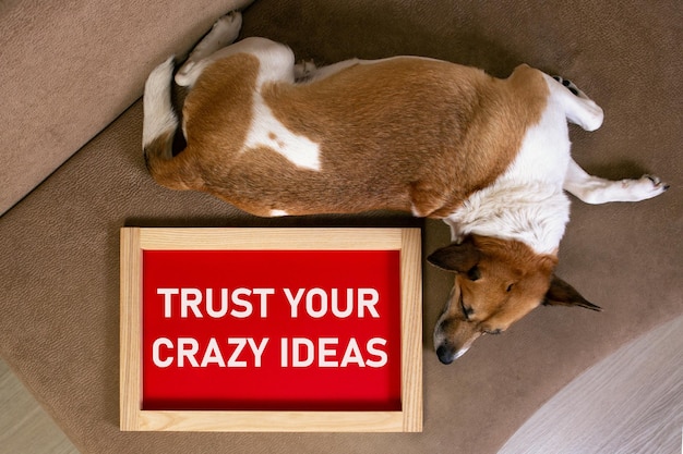 Dog lying on the sofa with a red poster in the frame with a message Trust Your Crazy Ideas