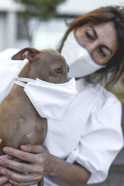 コロナウイルスの保護マスクを付けた屋外の犬