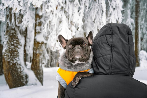 犬の飼い主が雪に覆われた冬の森でフランス人ブルドッグを抱きしめている