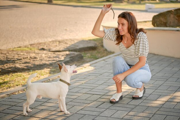 犬のパーソンラッセルテリアの品種は、彼の所有者の夏時間またはの始まりと緑の公園で遊んでいます