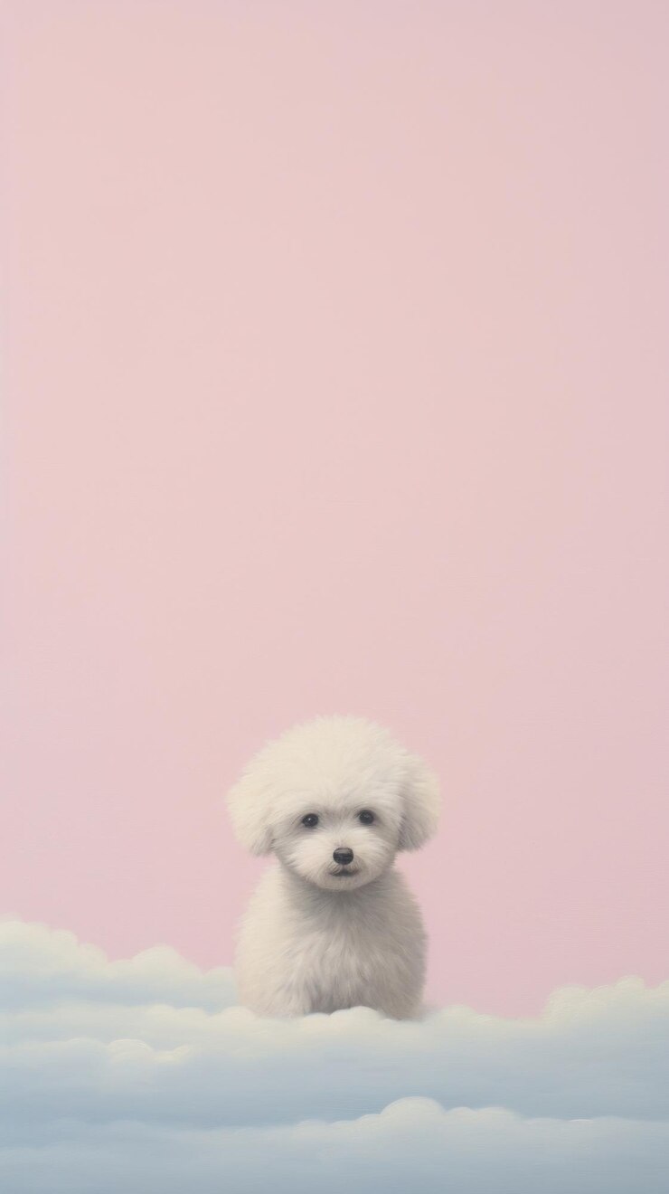 Photo 파스텔 구름 하늘에 개 포유류 동물 강아지