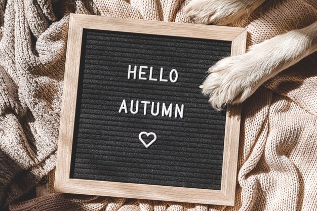 Dog paws and letter board with text phrase Hello Autumn lying on white knitted sweater