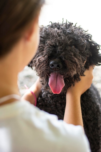 Dog playing with human