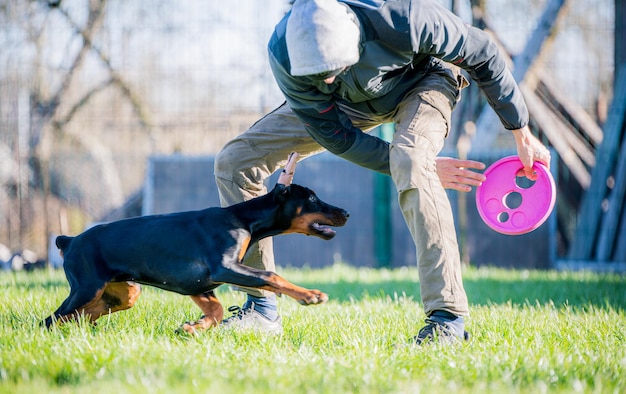 写真 野原で人と遊ぶ犬