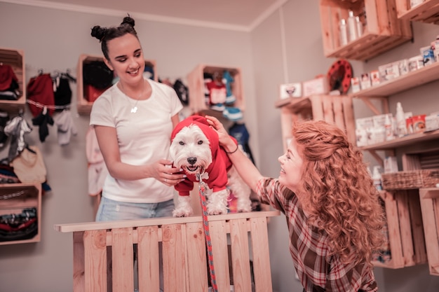 赤の犬。赤い服を着てかわいい犬を見ながら笑っている巻き毛の女性